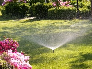 Woda w ogrodzie - zraszacze